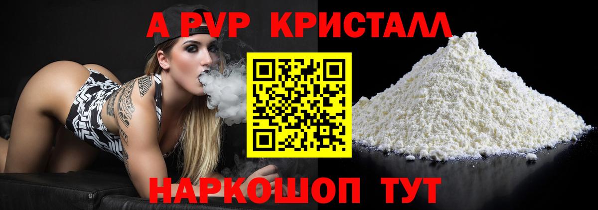 Alfa_PVP СК КРИС Майкоп