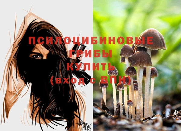 бутик Гусь-Хрустальный