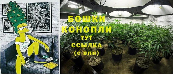 таблы Гусиноозёрск