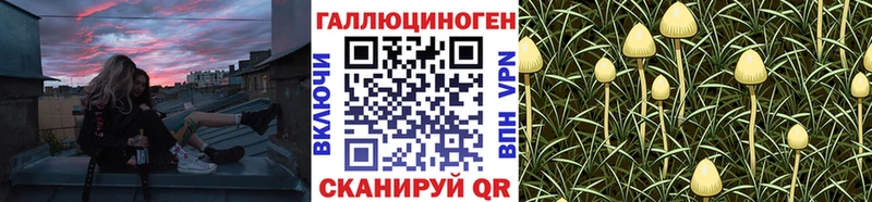 Псилоцибиновые грибы ЛСД Майкоп