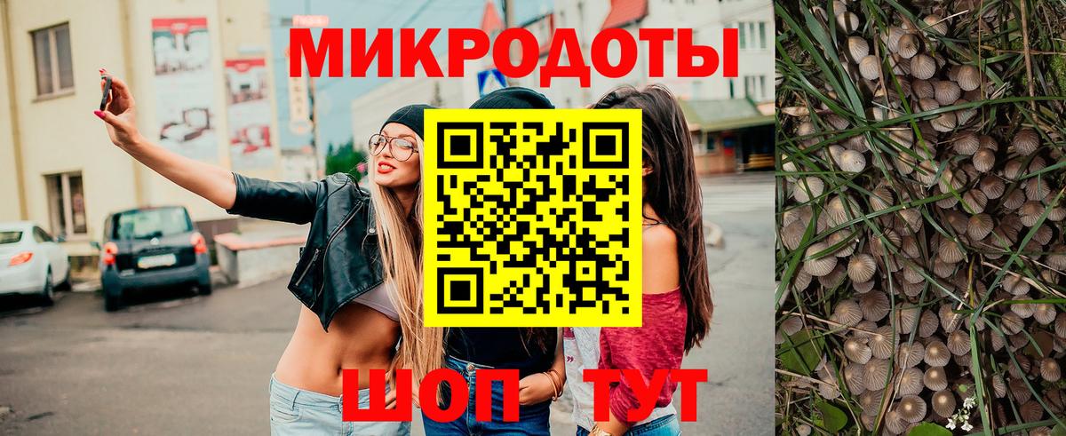 Псилоцибиновые грибы MAGIC MUSHROOMS  Галлюциногенные грибы Psilocybe  Майкоп  где купить   Вход с VPN 