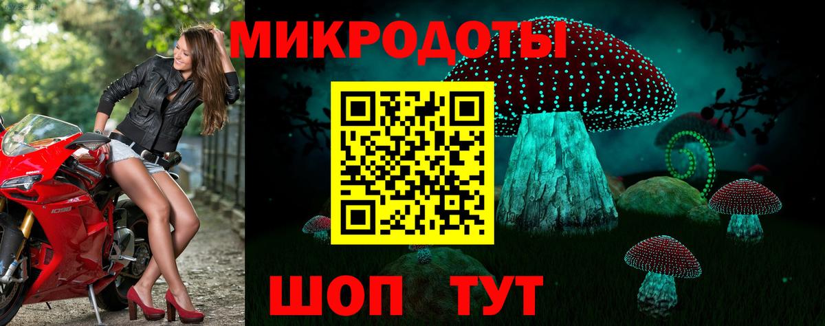 Галлюциногенные грибы мицелий Майкоп